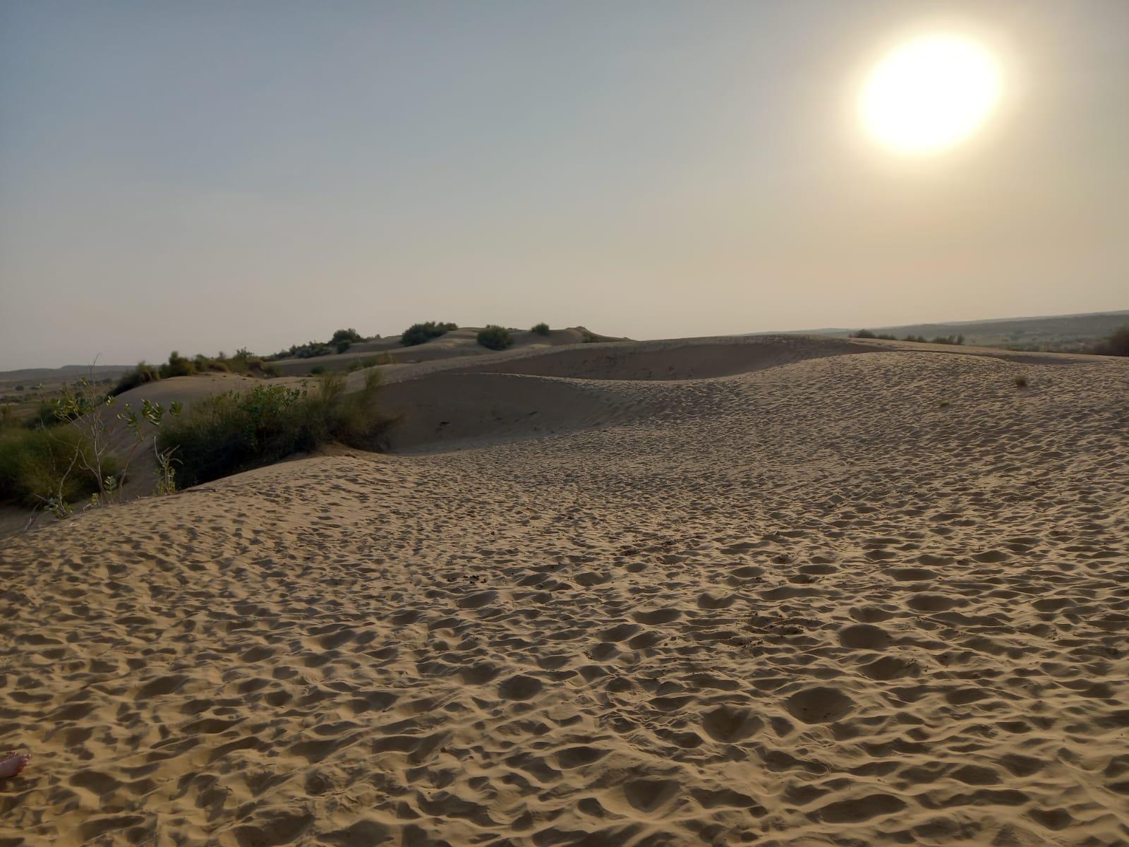 Desert du Thar